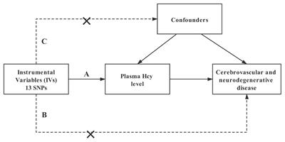 A Mendelian Randomization Study of Plasma Homocysteine Levels and Cerebrovascular and Neurodegenerative Diseases